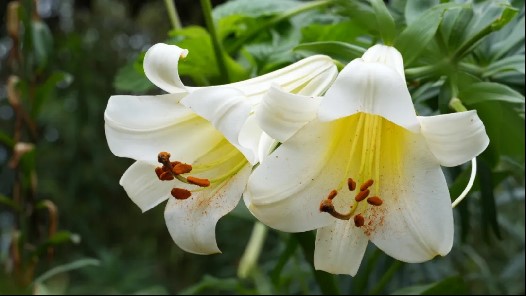 1751436846731091835.jpg 1.jpg