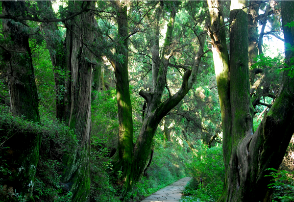 1752825042657059225.png 640.png