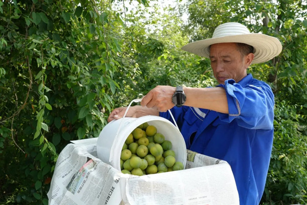 1753782114699073513.jpg 789654_副本.jpg