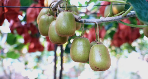 1756890583572090689.png 图片1_副本.png