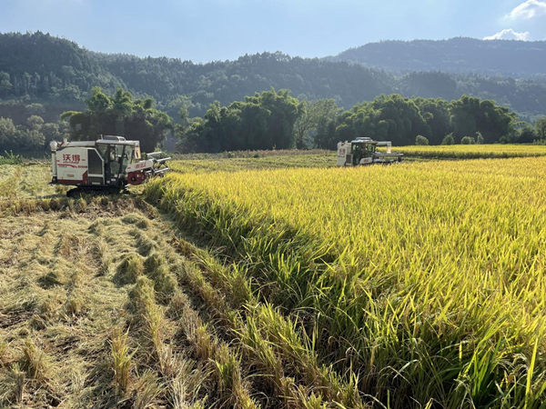 1758866462549079462.png guangyuan1_副本.png