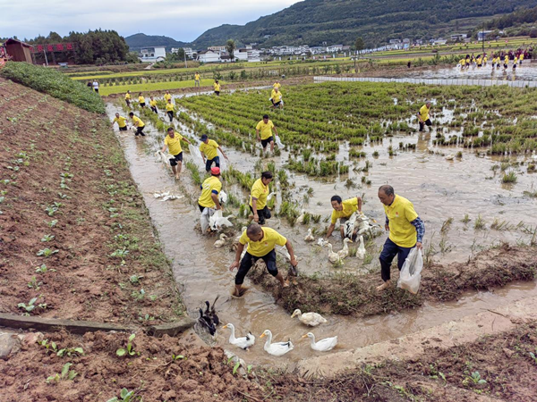 1758866759040081189.png gy6_副本.png