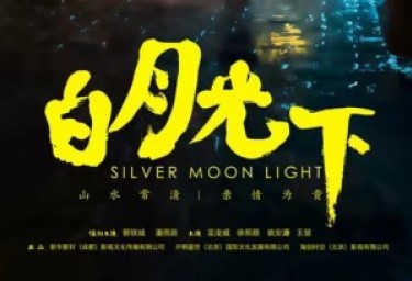 Award-winning film explores crafts, folk culture in Sichuan