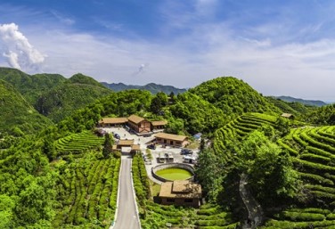 Explore the charm of tea gardens in Guangyuan