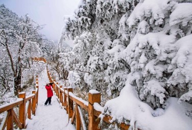 In winter, Tangjiahe nature reserve resembles a fairy tale world