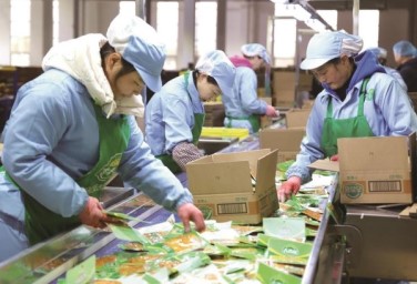 Sichuan pickle bites into global market 