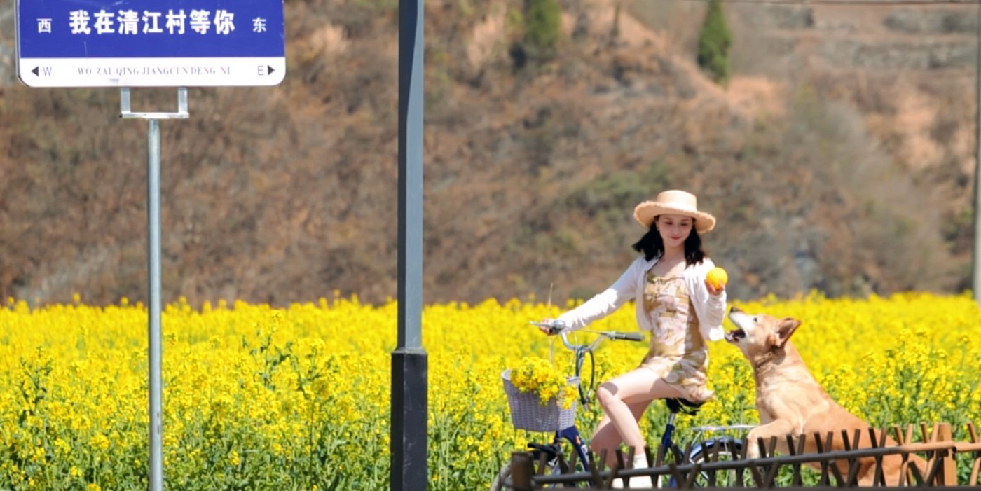 Guangyuan blossoms into flower wonderland