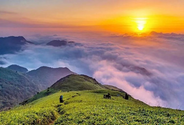 Sichuan Guangyuan: Pioneering conservation and cultural inheritance