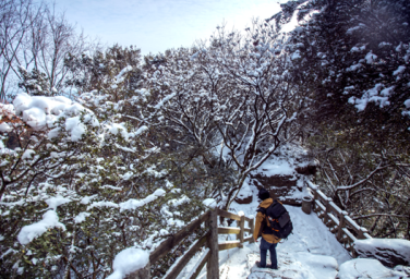 First snowfall of 2024 blankets Cuiyun Corridor 
