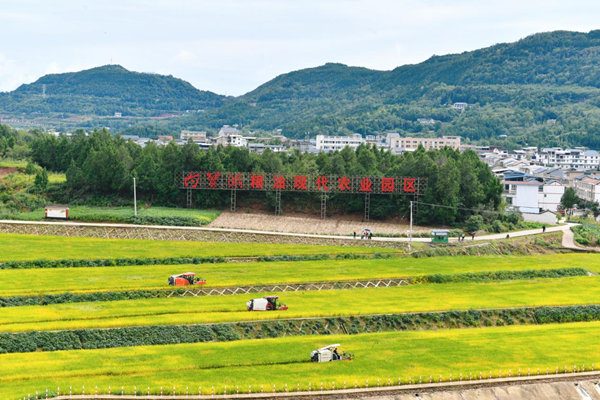 Cangxi, Sichuan: A new development chapter