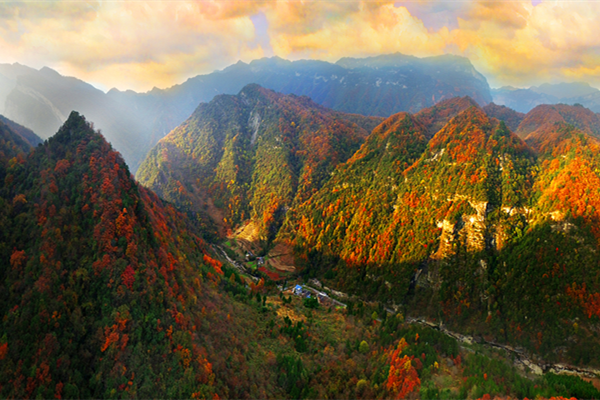 Autumn charm of Micang: Wandering the Ancient Shu Roads