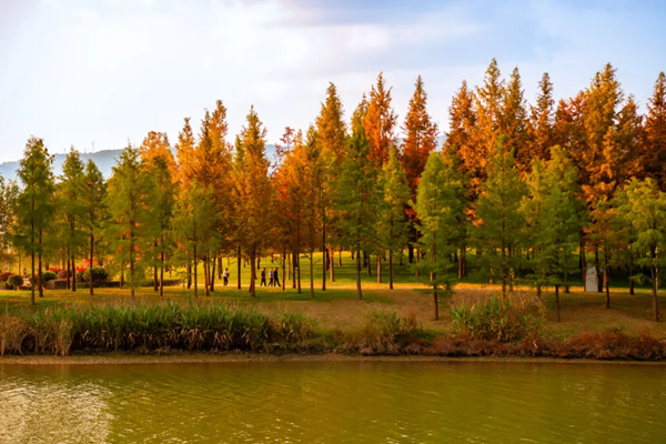 Verdant peaks and clear streams: Guangyuan Cangxi's scenery shines bright
