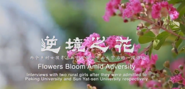 Flowers bloom amid adversity