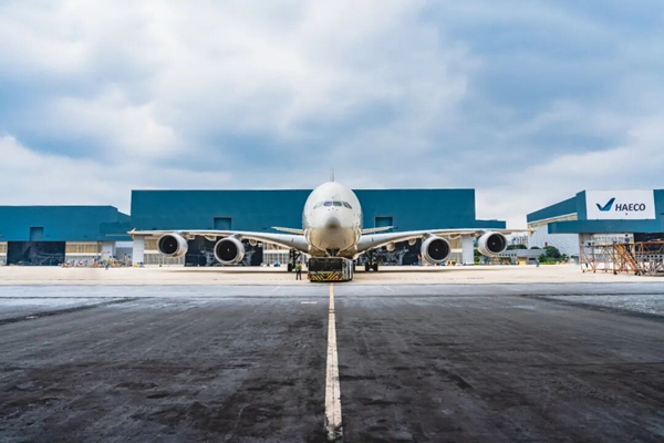 1765533816693027220.jpg 640 (5)_副本600.jpg