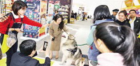 Cross-Straits pet industry expo held in Xiamen