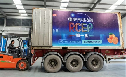 Xiamen C&D exports first container to RCEP member country Vietnam