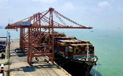 Xiamen Port opens 3 new berths for foreign trade shipments