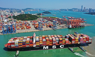 Xiamen aims to be bridgehead for BRICS cooperation
