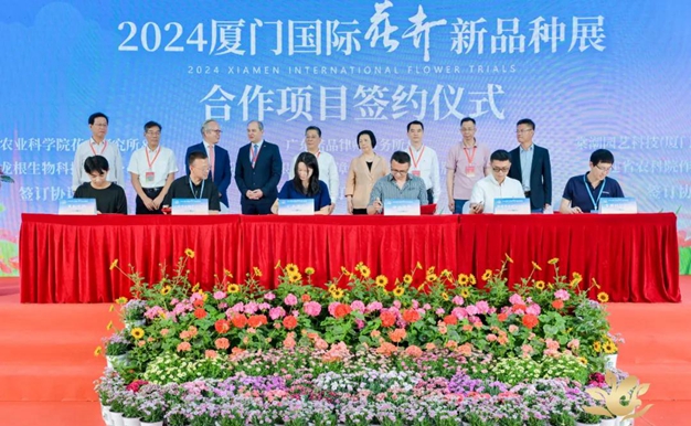 2024 Xiamen International Flower Trails event kicks off 