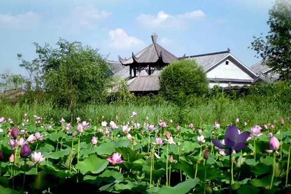 Yangliuqing Manor