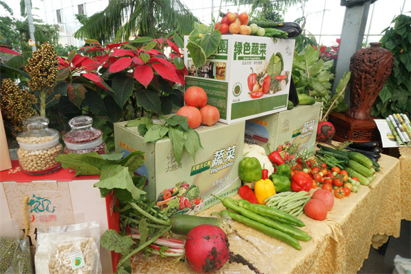 （齐心庄园）5-Green vegetables.jpg