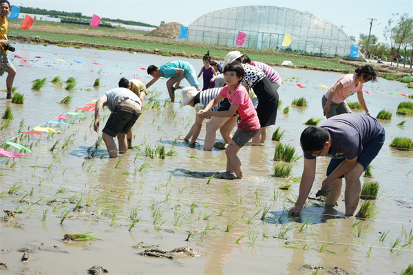 （齐心庄园）9-Tourists experience farm work in the Qixin Retreat.jpg