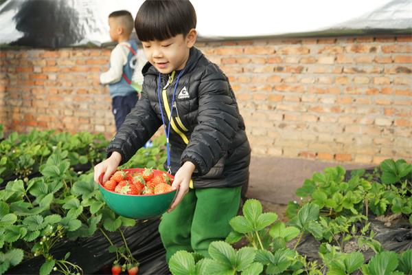 （齐心庄园）Tourists experience farm work in the Qixin Retreat.jpg