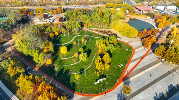 1762936122455074471.png 1112 天津西青图片1_600.png