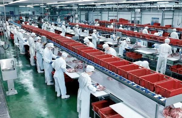 1119 天机你西青图片2_600.png