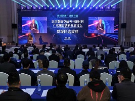 Dongli holds forum on aerospace and new material industries