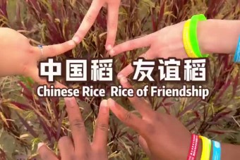 Chinese Bridge contestants explore the beautiful countryside in Tianjin