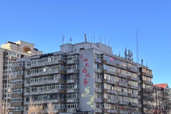 North American antique dealer inspires cultural revival in Tianjin