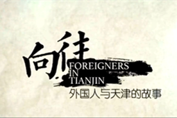 Foreigners in Tianjin: Bridges
