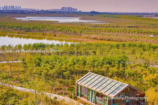 A peek of Tianjin’s top green efforts by international guests