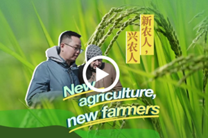 From field to chopsticks: Savor modern Chinese agriculture