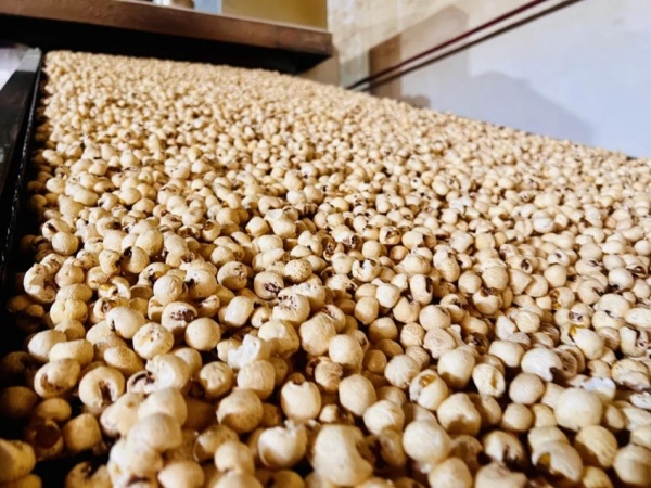 Two decades of Jinghai's popcorn innovation