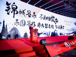 New commercial plaza makes debut in Jinghai