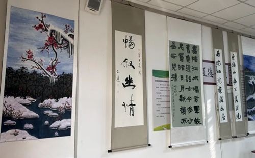 Tianjin Jinghai art show enriches rural culture