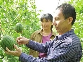 Jizhou promotes the development of local agriculture
