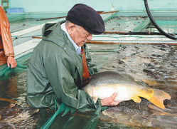 Zealous senior breeder in Tianjin helps nation’s fish flourish