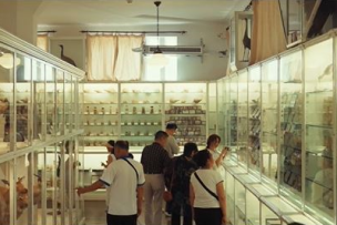 Documentary delves into history of Tianjin Natural History Museum