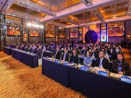 Xiqing holds investment promotion conference
