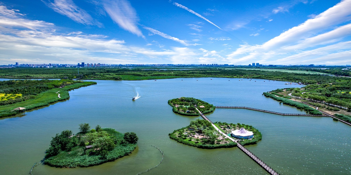 Xiqing is one of the districts in Tianjin, covering an area of 565.36 square meters.