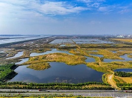 Xiqing promotes water environment management in local wetlands