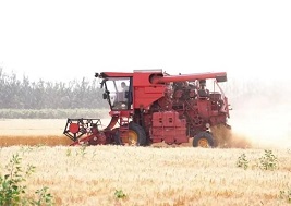 Tianjin's Xiqing district sees a bumper summer grain harvest