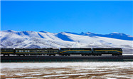 Qinghai-Tibet Plateau receives biggest early winter snow in 57 years