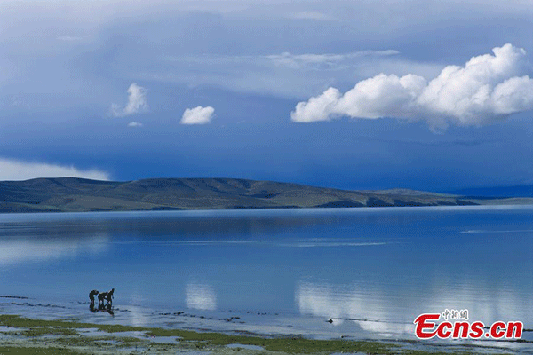 Lake Manasarovar