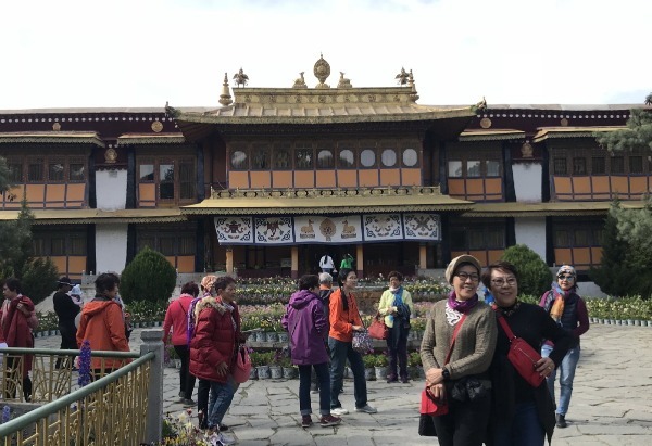 Tibet's heritage site Norbulingka undergoes new restoration
