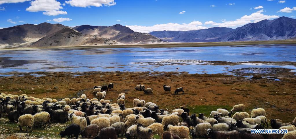 Seven decades on, Tibet ecology a success story