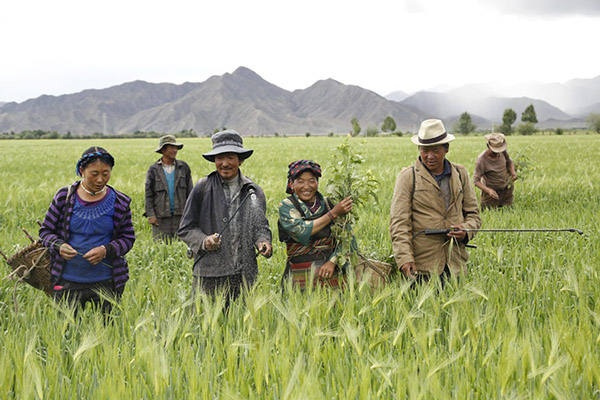 Tibet focusing on people's livelihoods